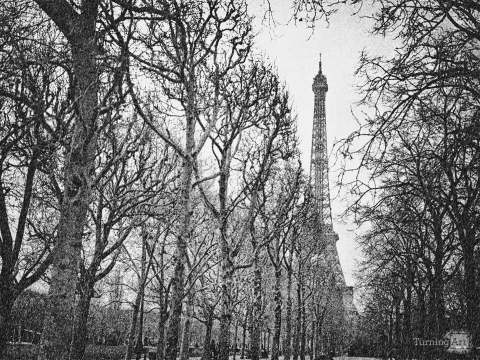 Paris In Winter