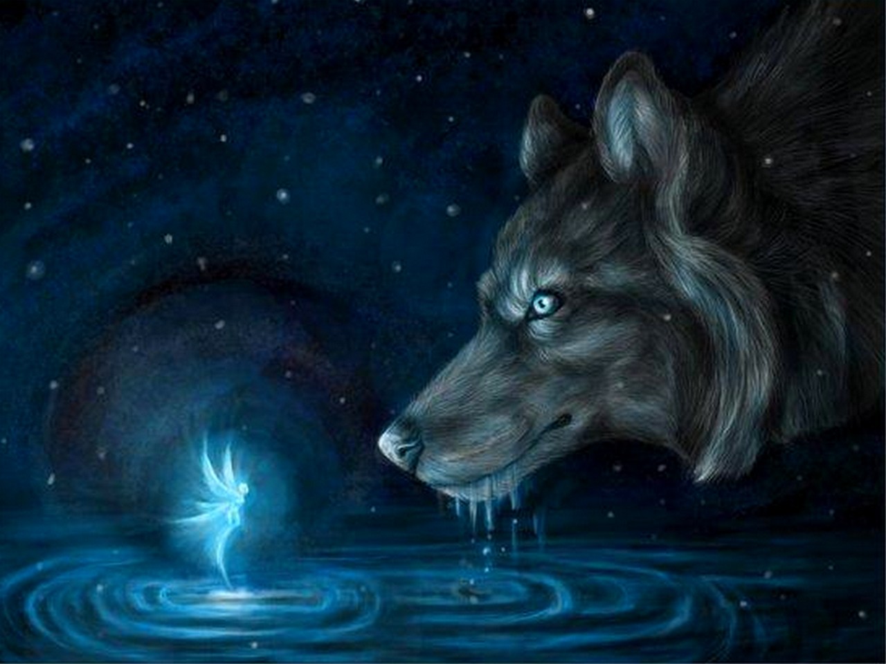 Fantasy Wolves Wolf And Fairy