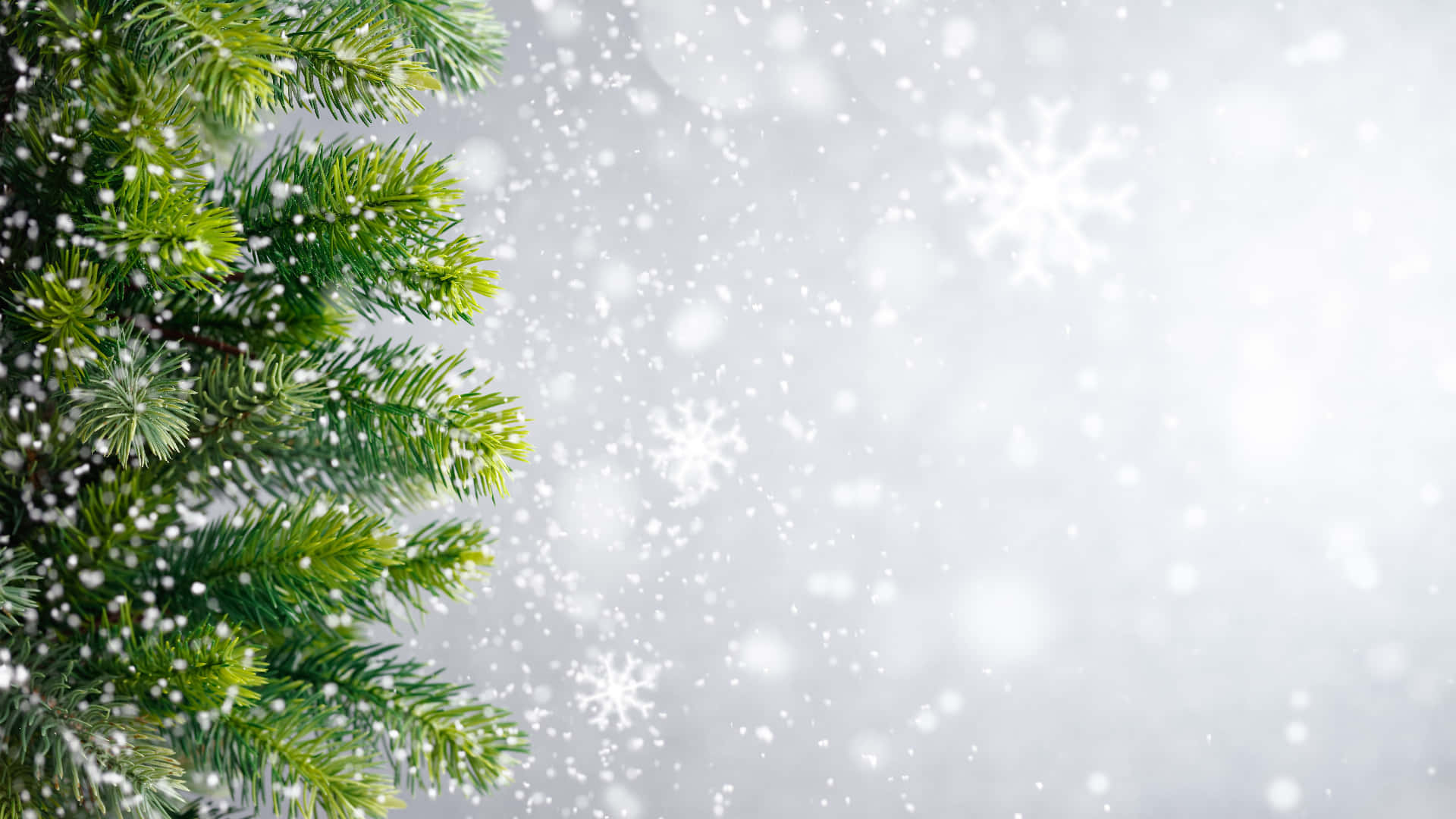 Green And White Background X Wallpaper