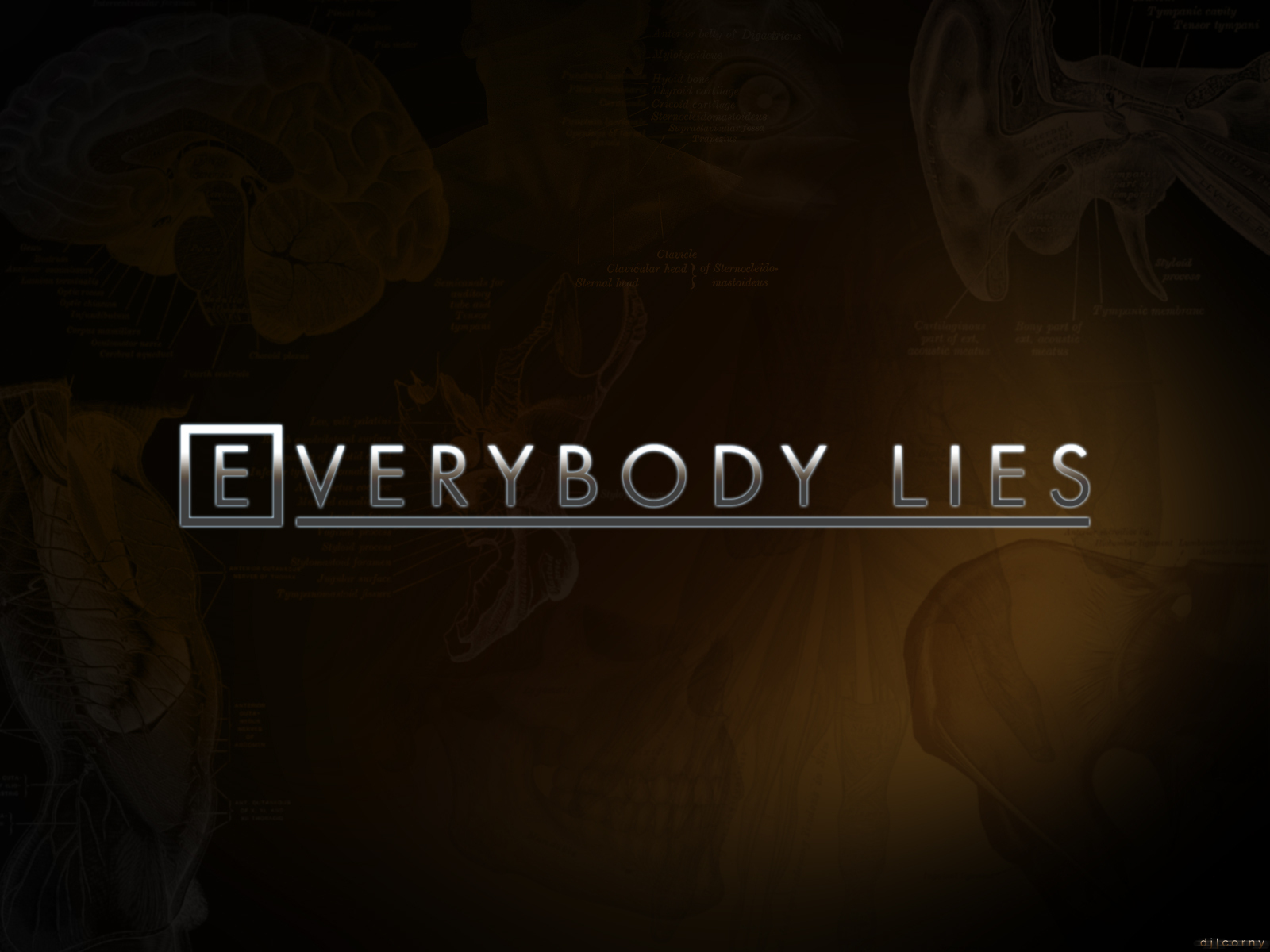 Everybody Lies Dr House Wallpaper