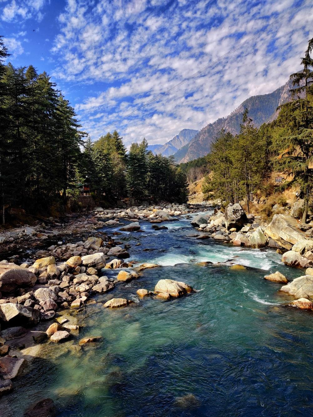 River In Between Green Trees And Mountains During Daytime Photo