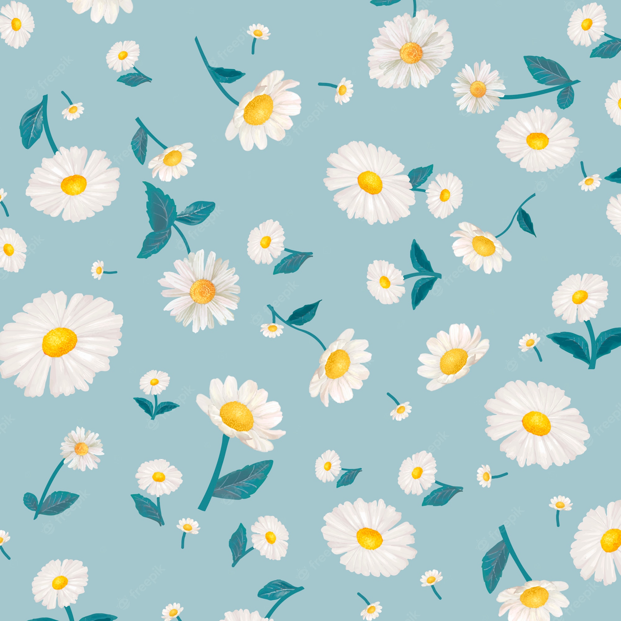 Daisy Aesthetic Wallpaper