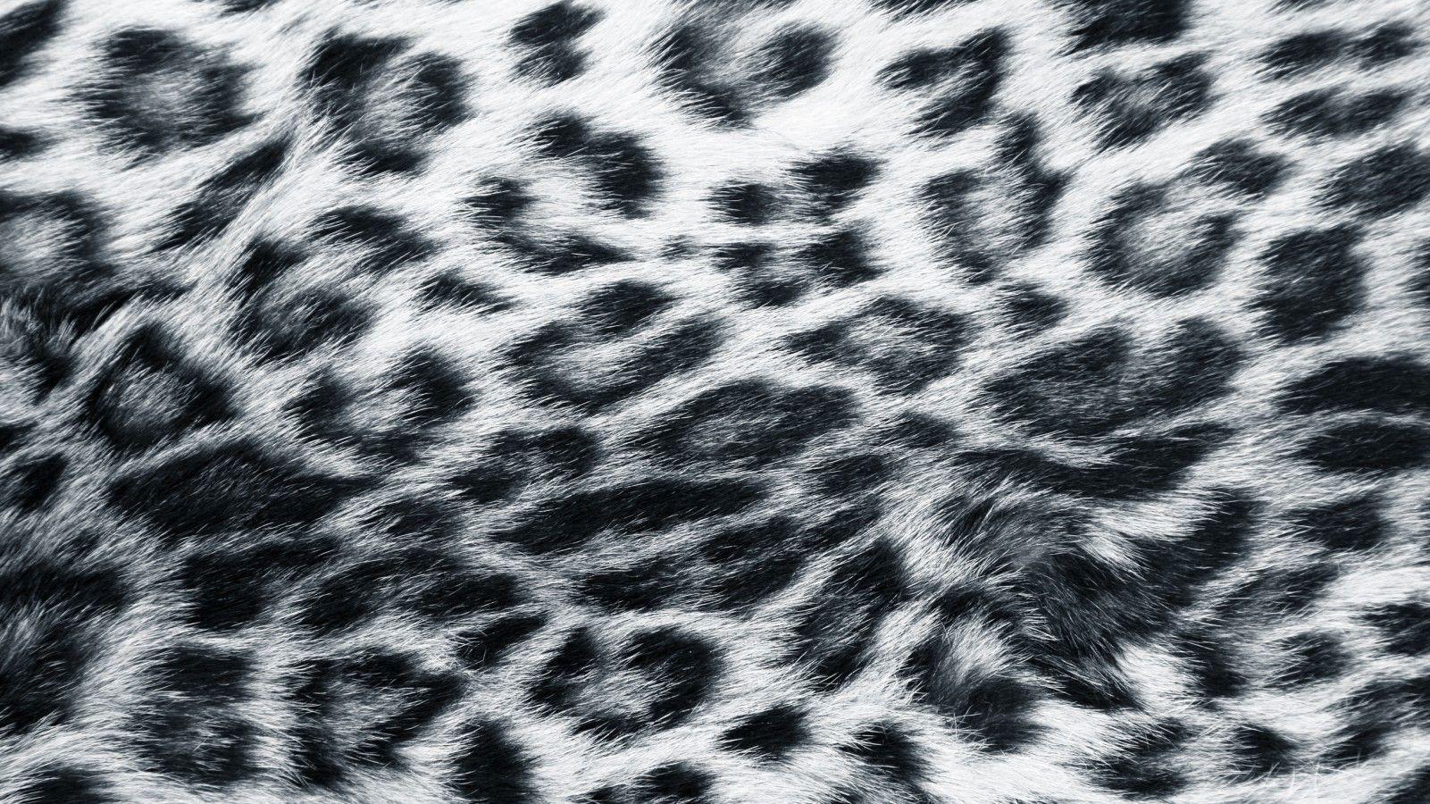 Black Cheetah Wallpaper