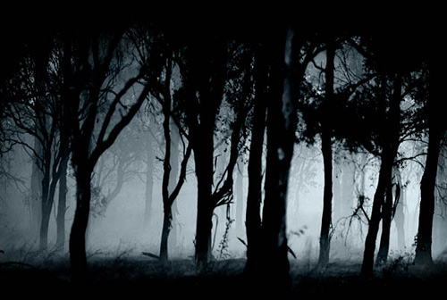 The Haunted Forest Dark Moist And Spooky