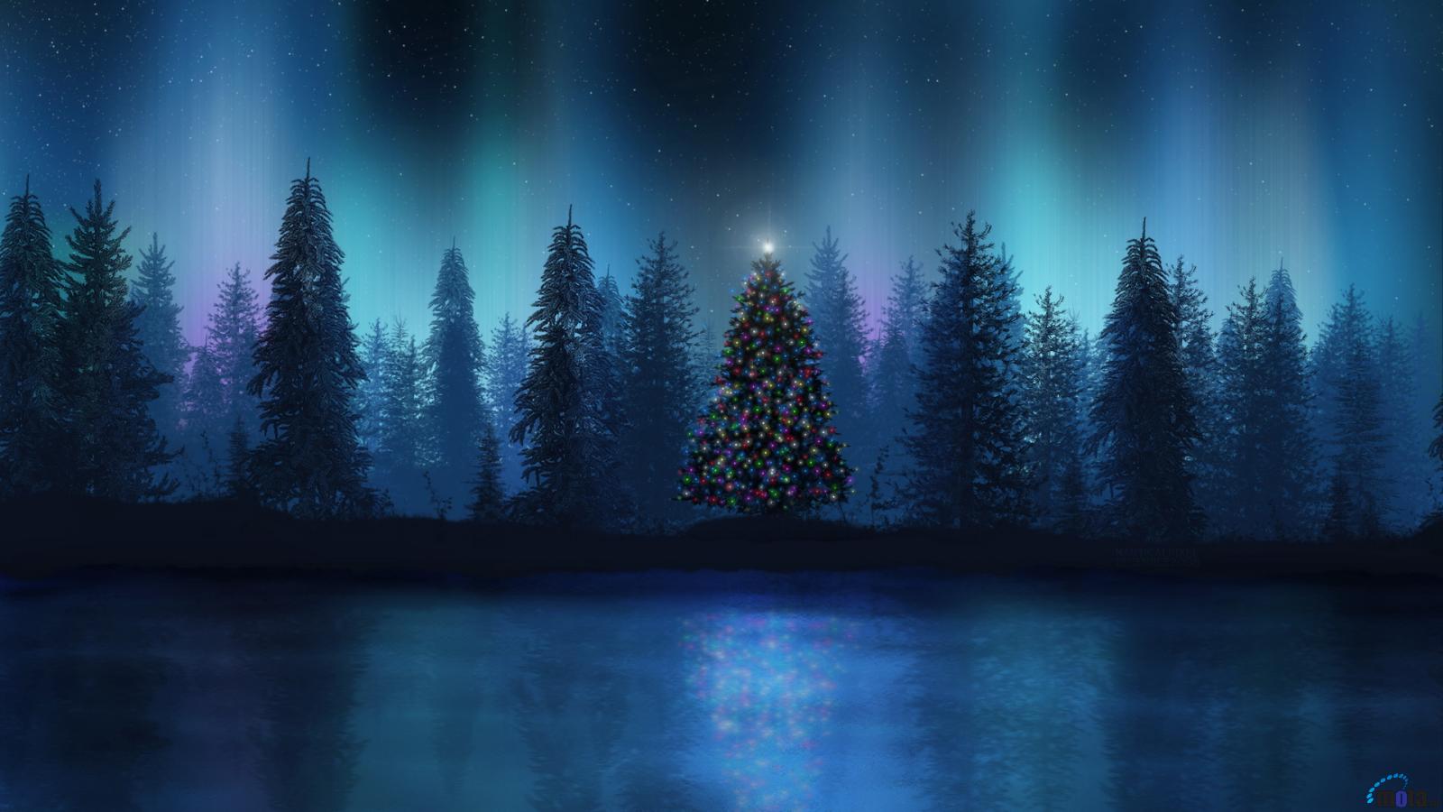 Wallpaper Aurora At Christmas Night X Widescreen Desktop