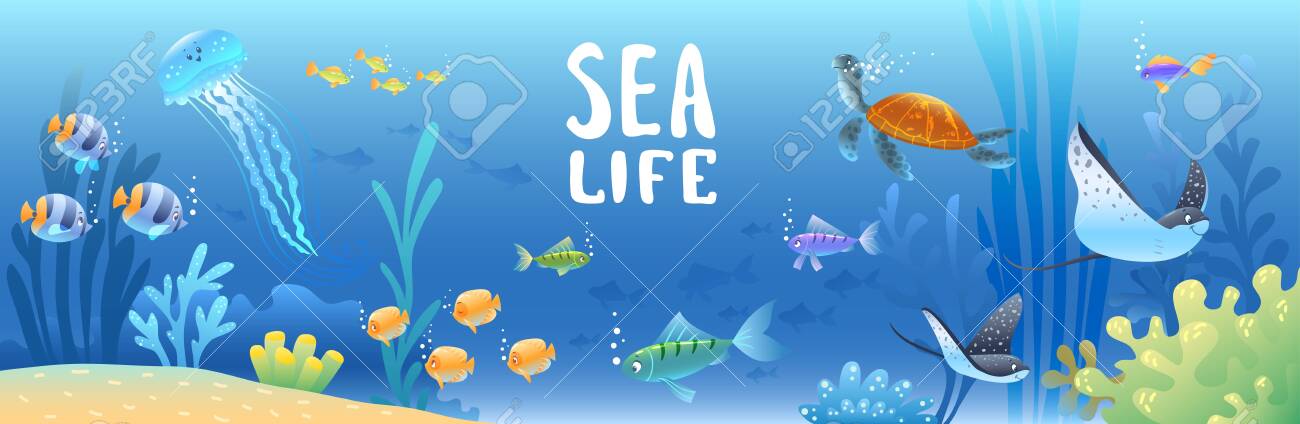 Free download Sea Background With Beautiful Cartoon Fish Turtle And Other  [1300x424] for your Desktop, Mobile & Tablet | Explore 19+ Underwater Cartoon  Wallpapers | Underwater Backgrounds, Underwater Background, Underwater  Wallpapers
