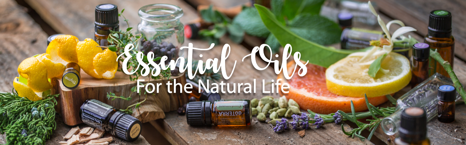 Proactive Health Style Essential Oils For The Natural Life