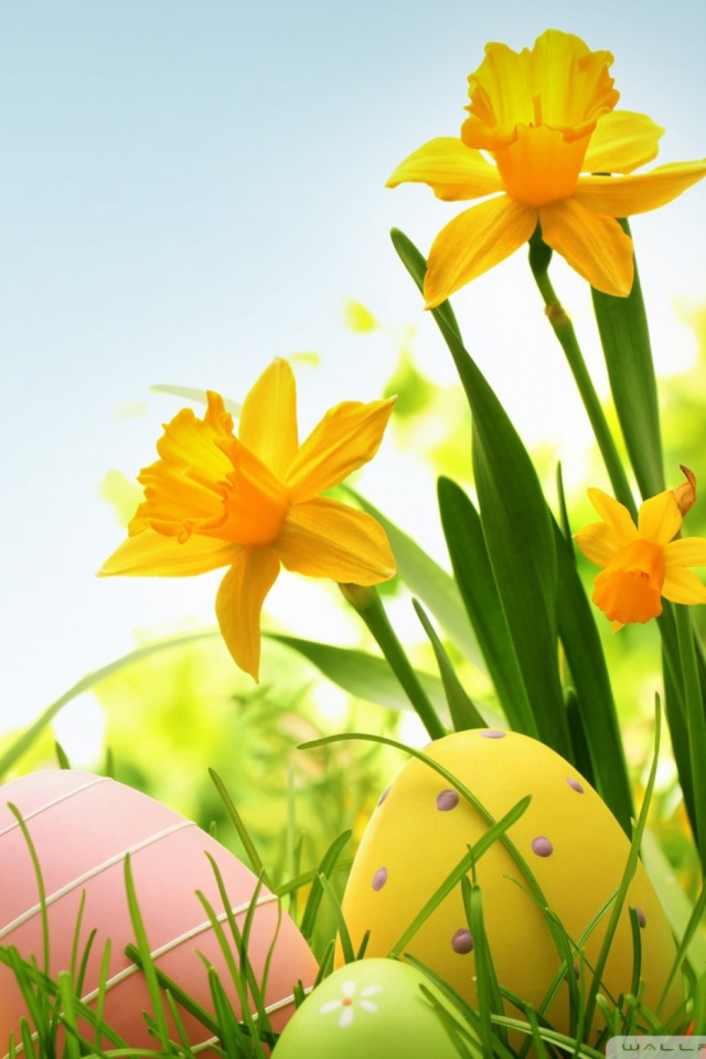 Happy Easter Mobile Wallpaper   Mobiles Wall