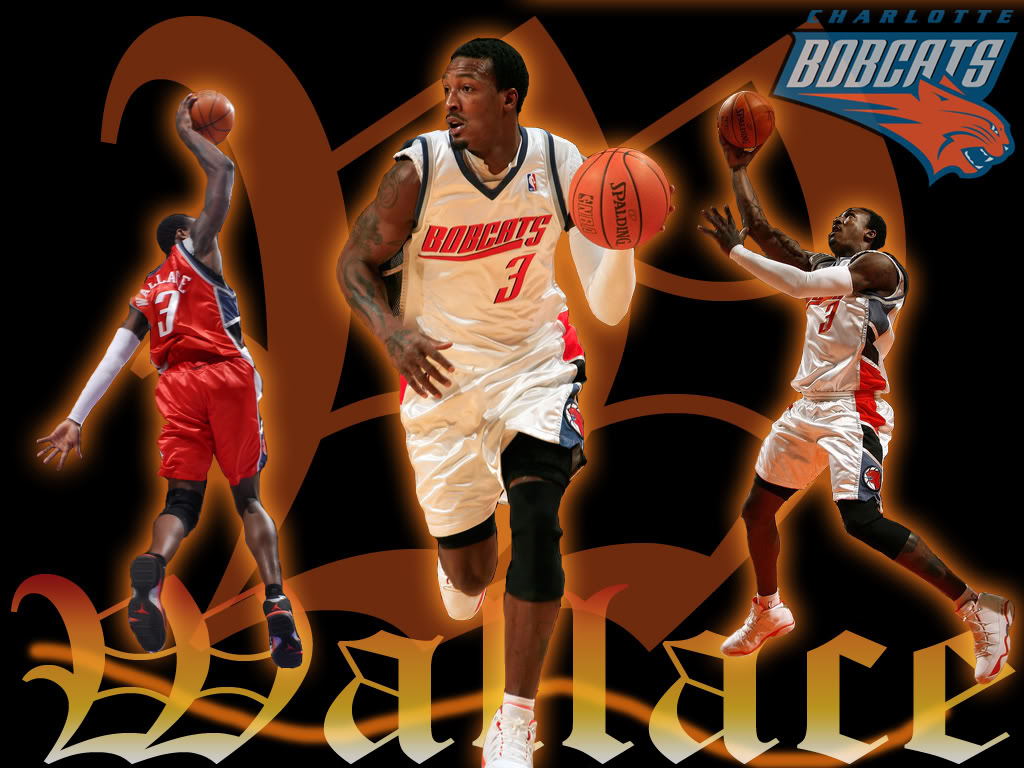 Gerald Wallace Wallpaper Image Picture Code