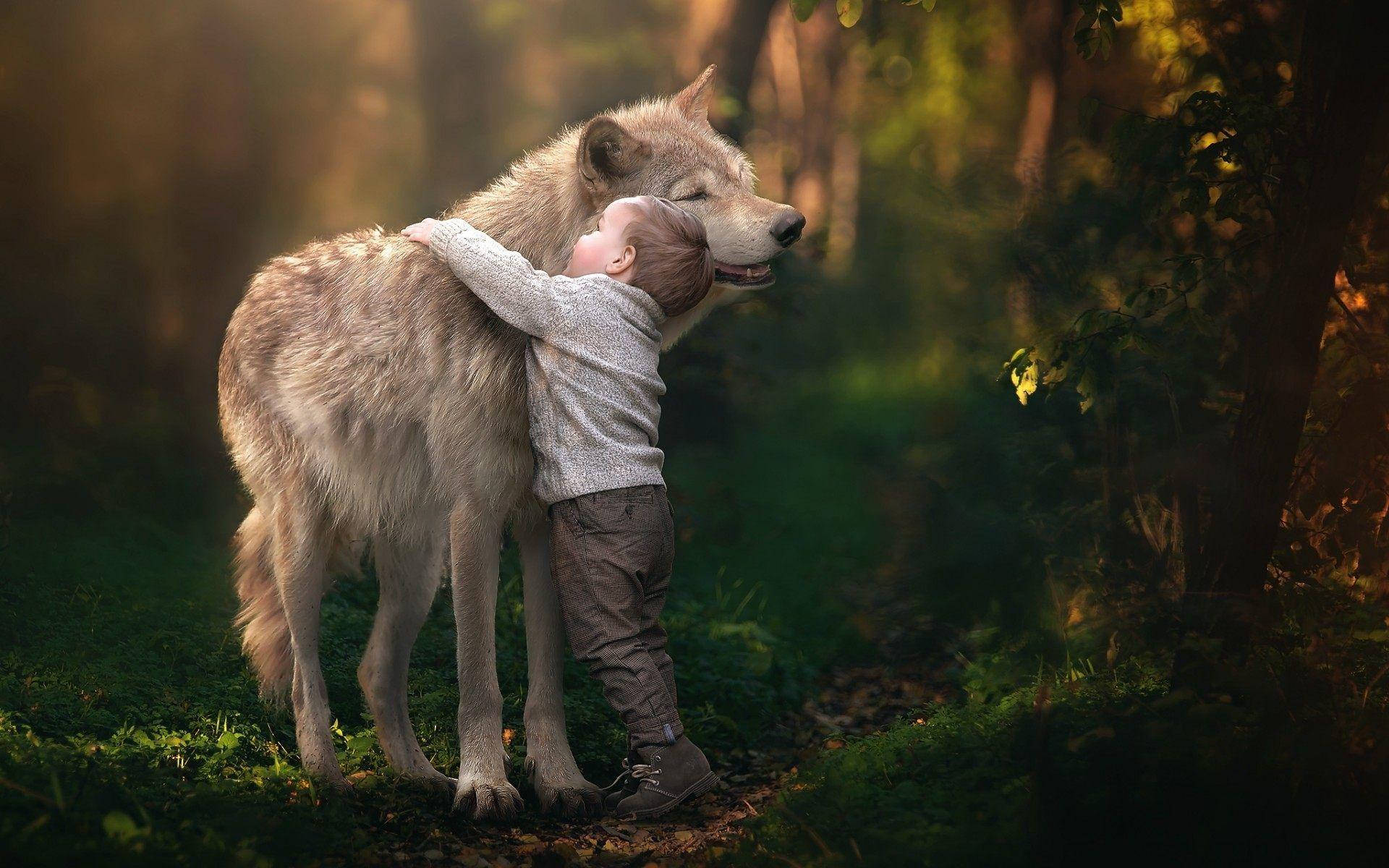 Big Arctic Dog Rlwknve9ga84fklz Wallpaper