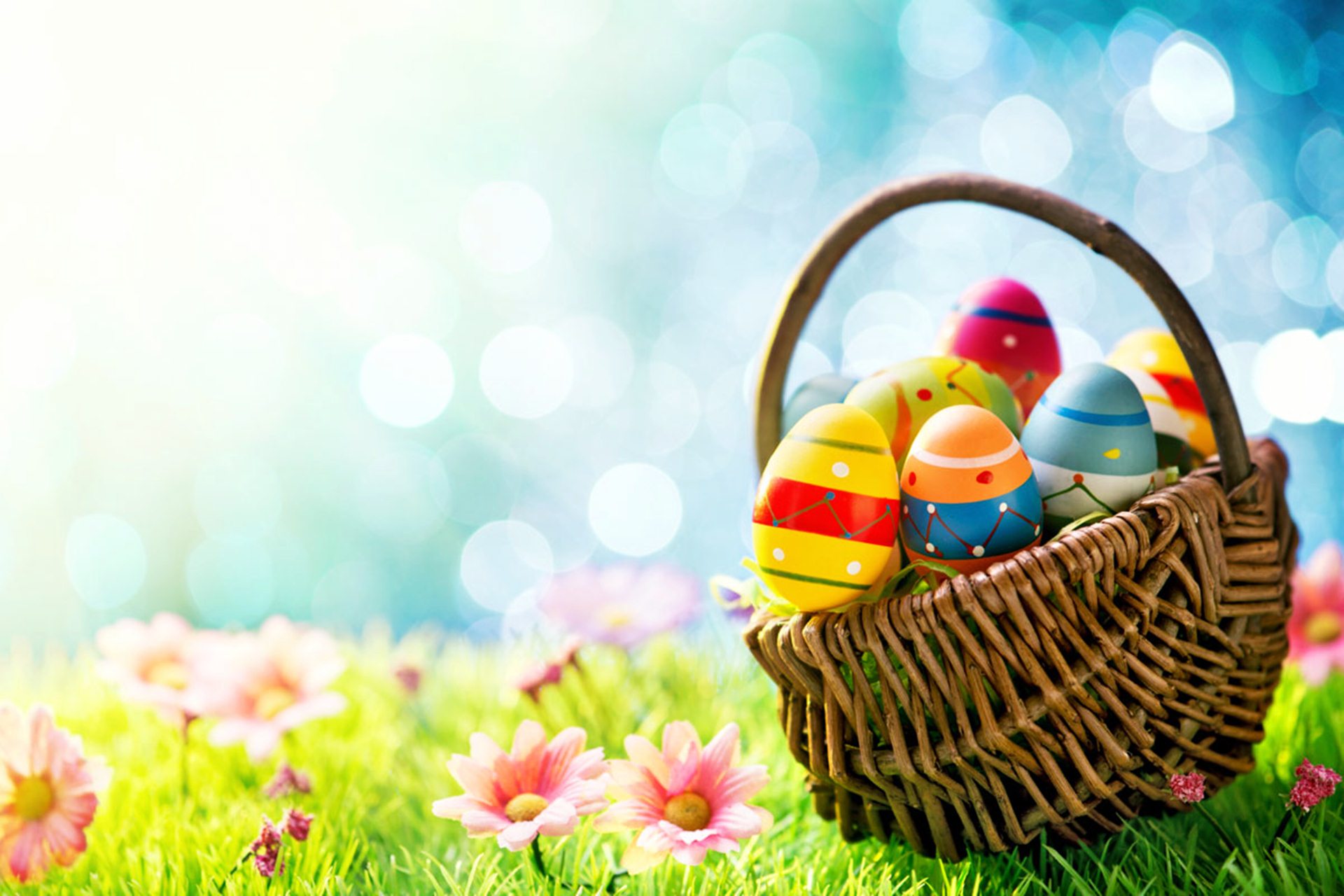 Free Download Easter Bunies Wallpapers Easter Bunies Stock Photos 