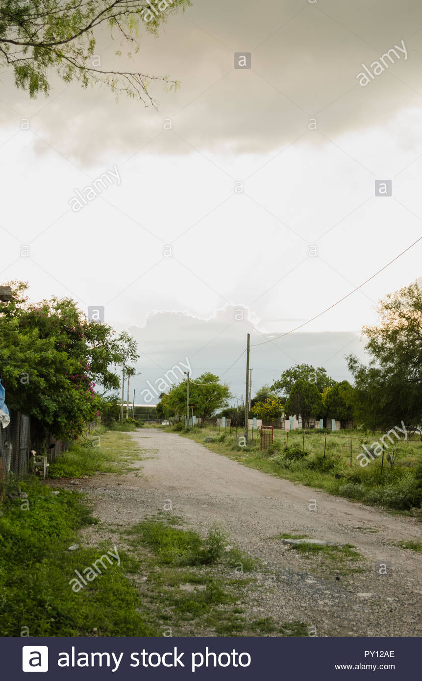 dirt road surrounded by green leaves and beautiful nature 861x1390