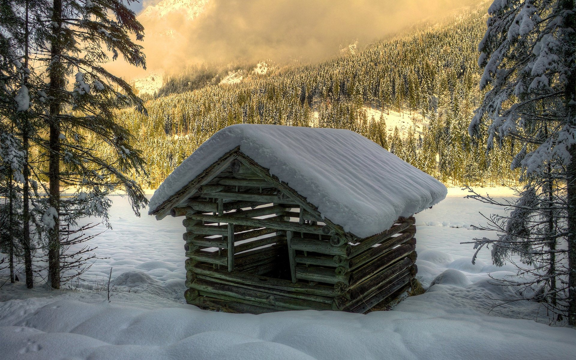 Wood House Wallpaper
