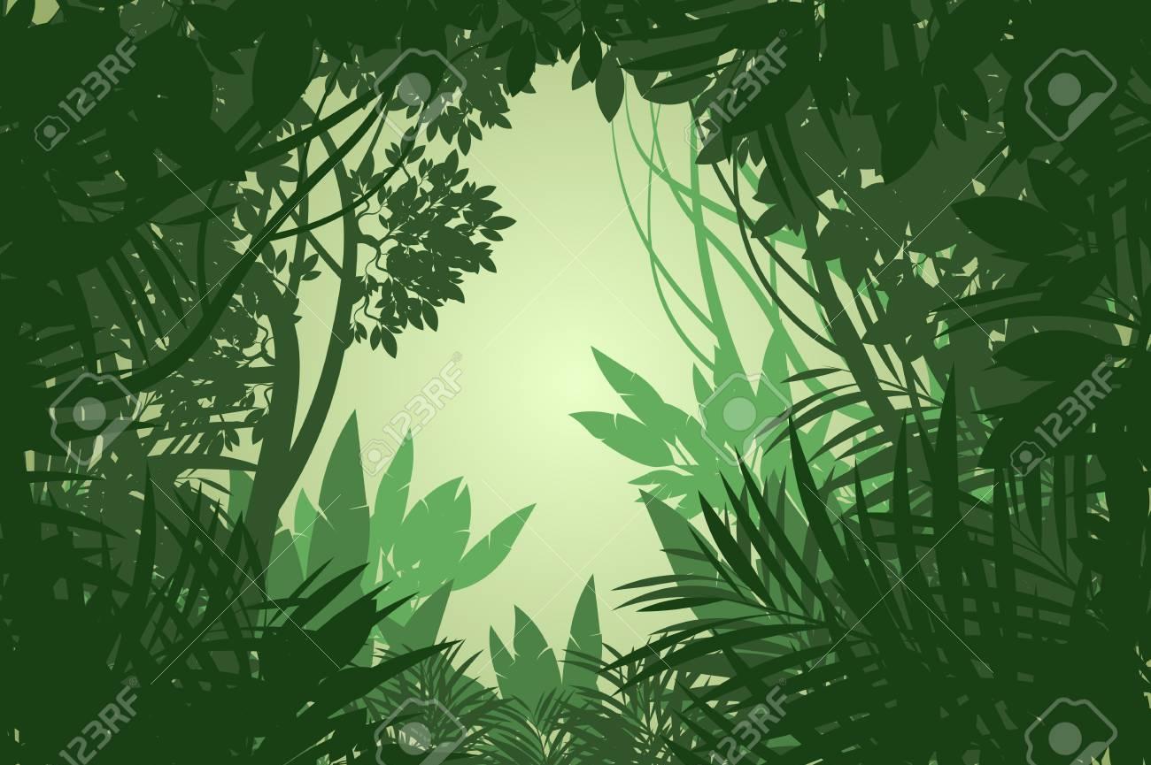 Beautiful Rain Forest Scene Vector Wallpaper Nature