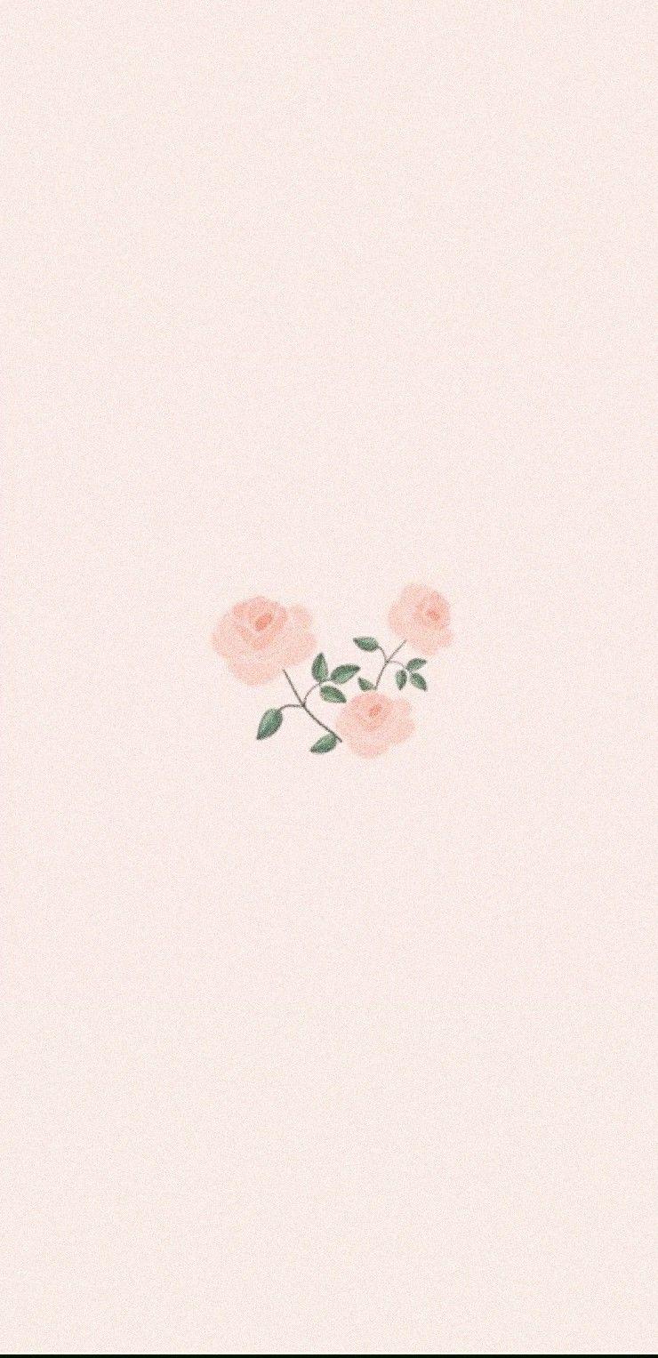 Soft Pink Wallpaper Ideias De Fotos Para Instagram Papel