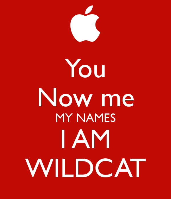 You Now Me My Names I Am Wildcat Keep Calm And Carry On Image