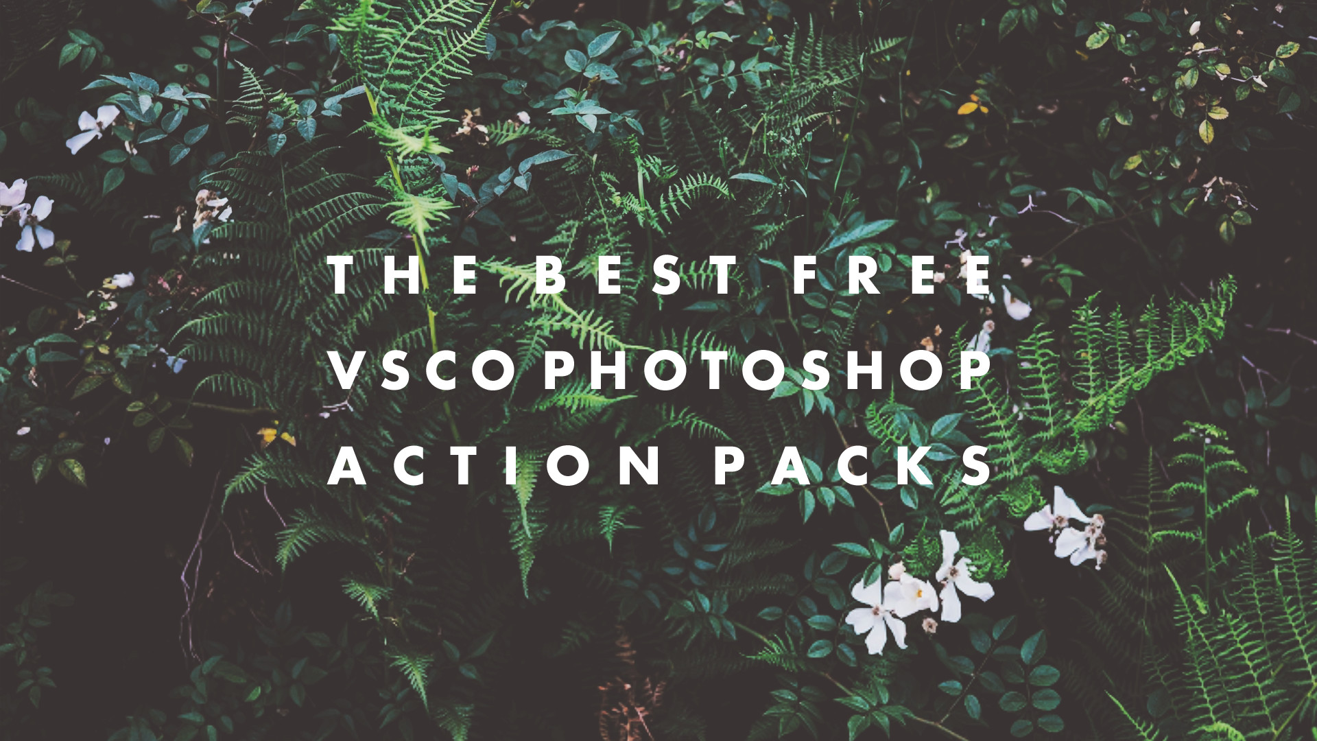 The Best Photoshop Action Packs Hipsthetic