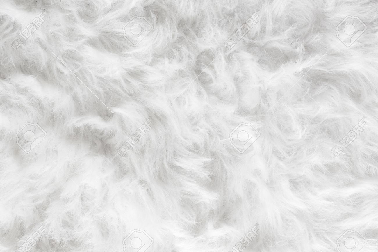 Sheep Wool Fur Background Texture Wallpaper Stock Photo Picture