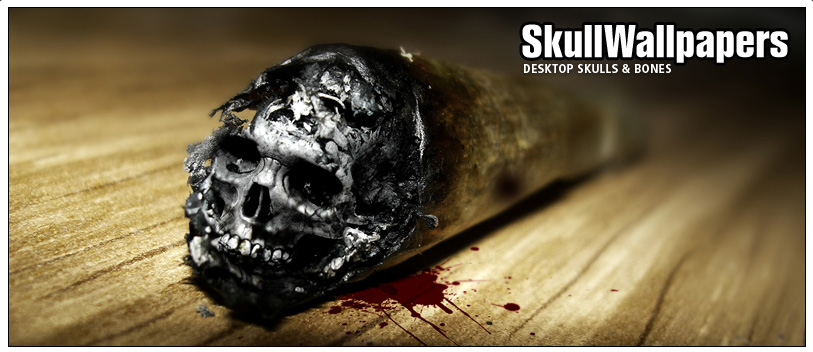 search wallpaper categories artistic skulls funny skulls pirate skulls