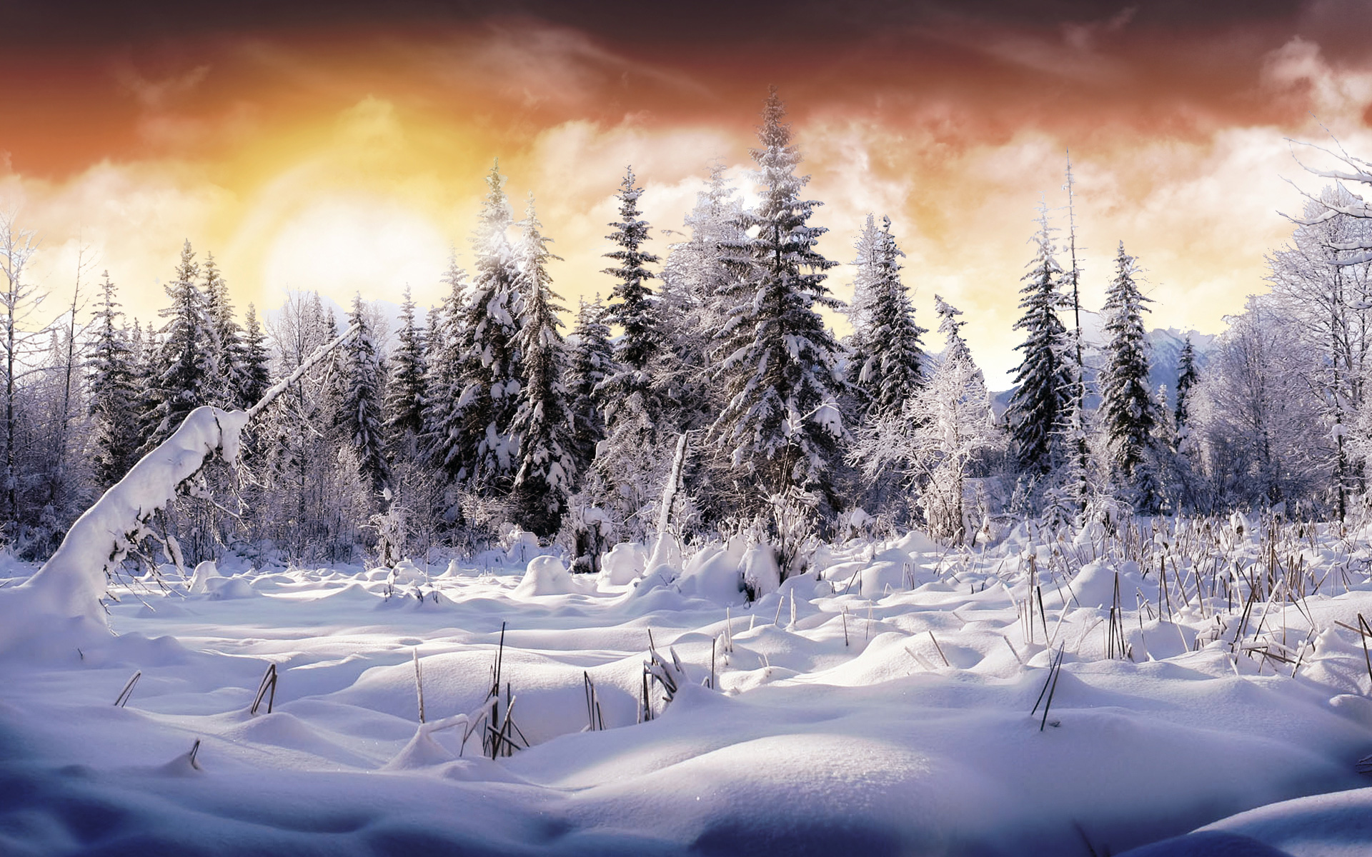 Winter Wonderland HD Wallpaper Theme Bin Customization