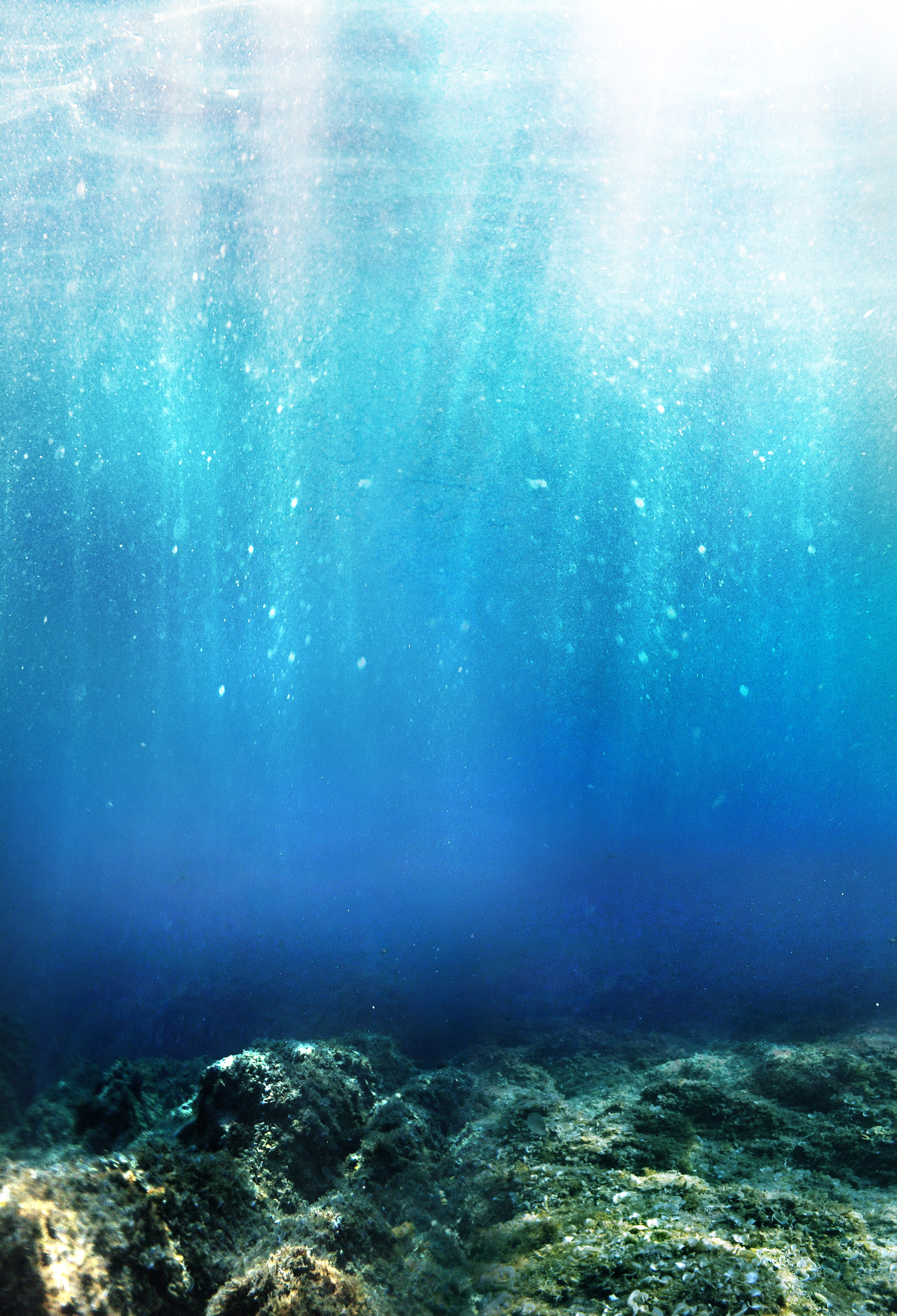 Underwater Stock Premade Background By Yaensart On