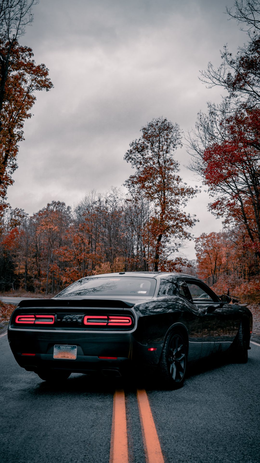 Dodge Challenger 1080P 2k 4k HD wallpapers backgrounds free download   Rare Gallery