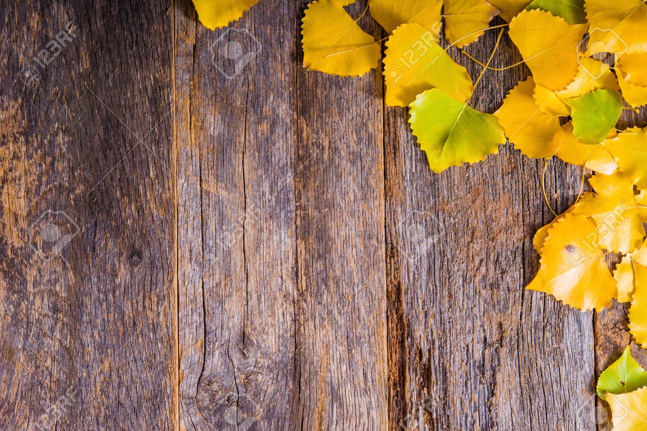 Autumn Fall Background Aged Reclaimed Wood Planks And Golden