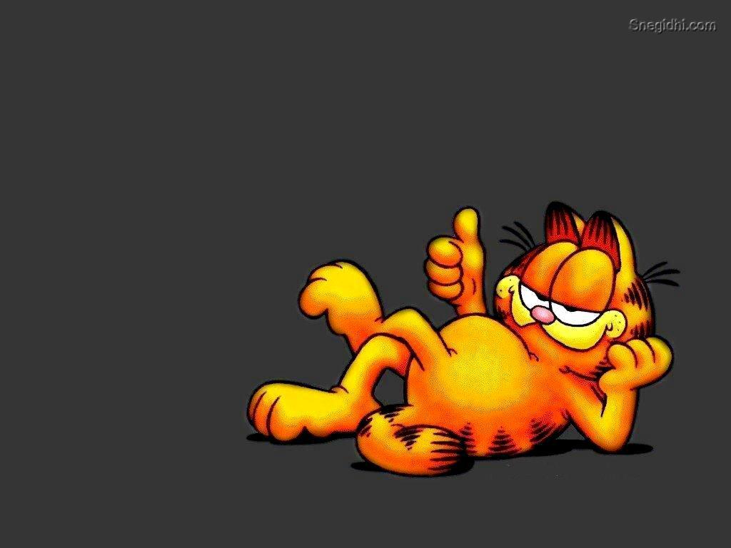 Garfield Vekt R