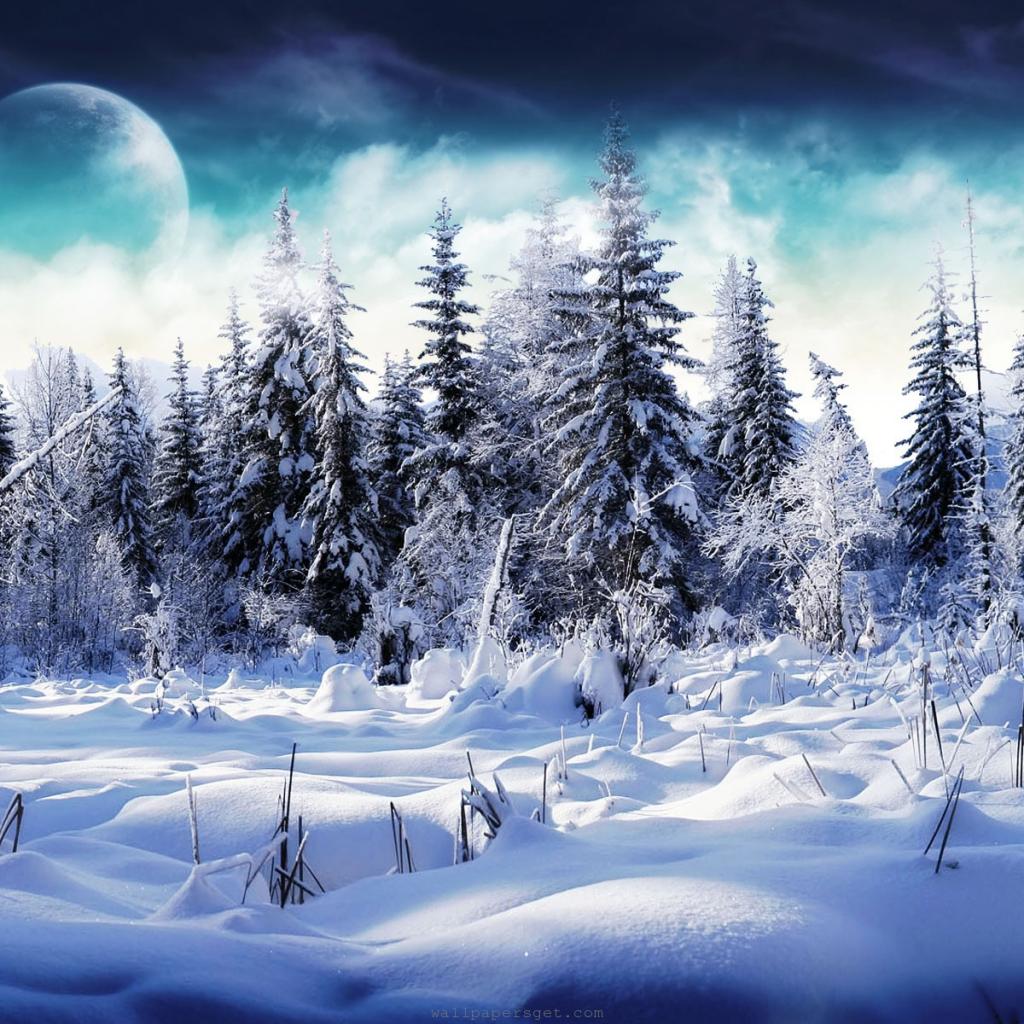 iPad Wallpapers Download 2012 Christmas Winter Wallpapers for 1024x1024