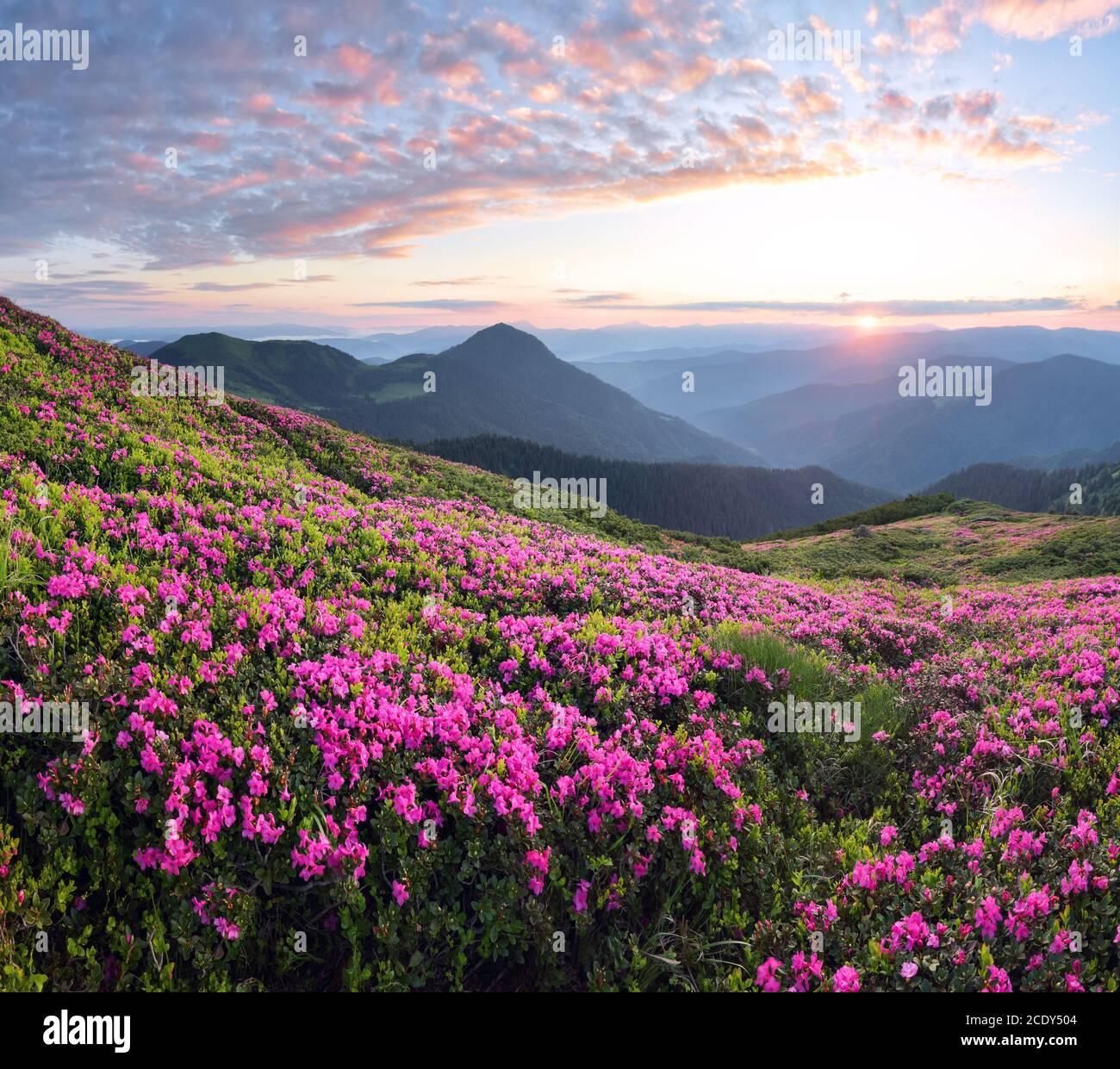 Scenery Of The Sunset At High Mountains Amazing Spring