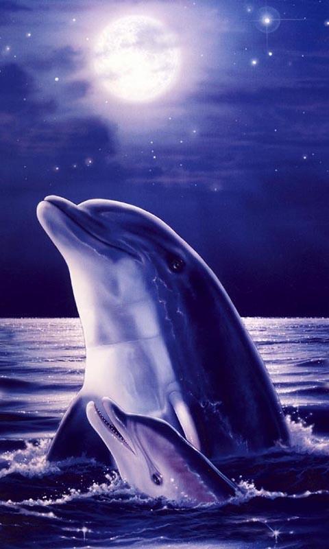 Dolphins Live Wallpaper Screenshot