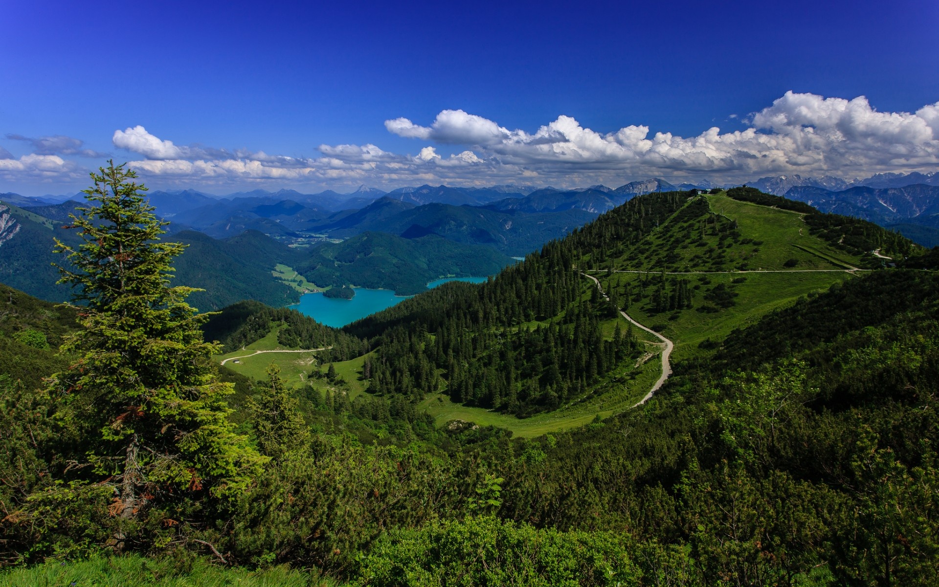 Wallpaper Alps Germany Bavarian Alps lake forest panorama