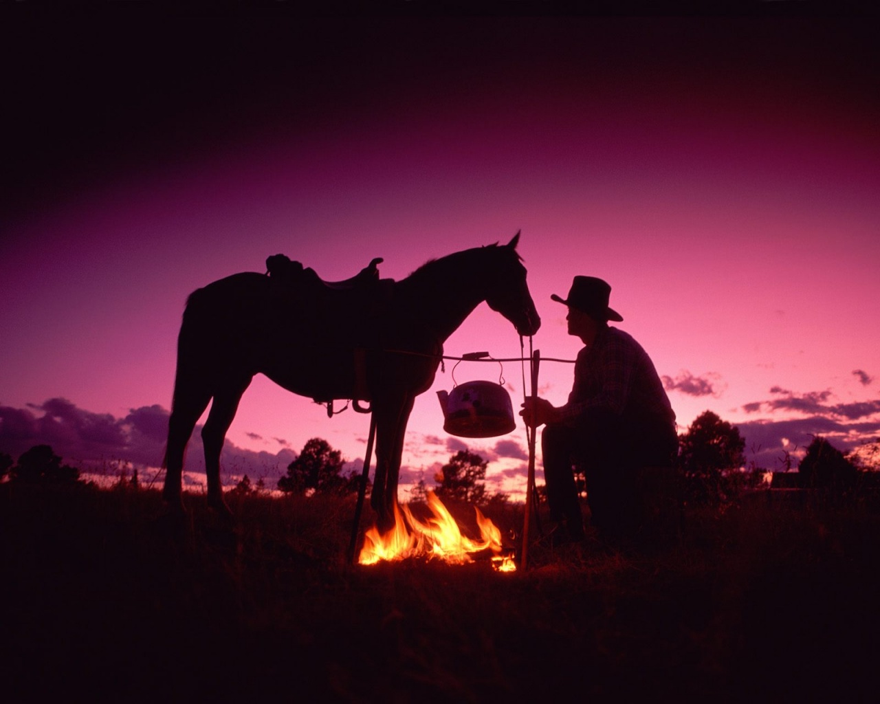 cowgirl wallpaper aesthetic  Horse wallpaper Country backgrounds Western  photography