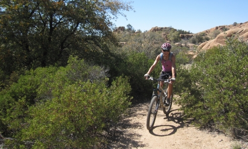 Prescott Mountain Biking Arizona Bike Rentals Tours