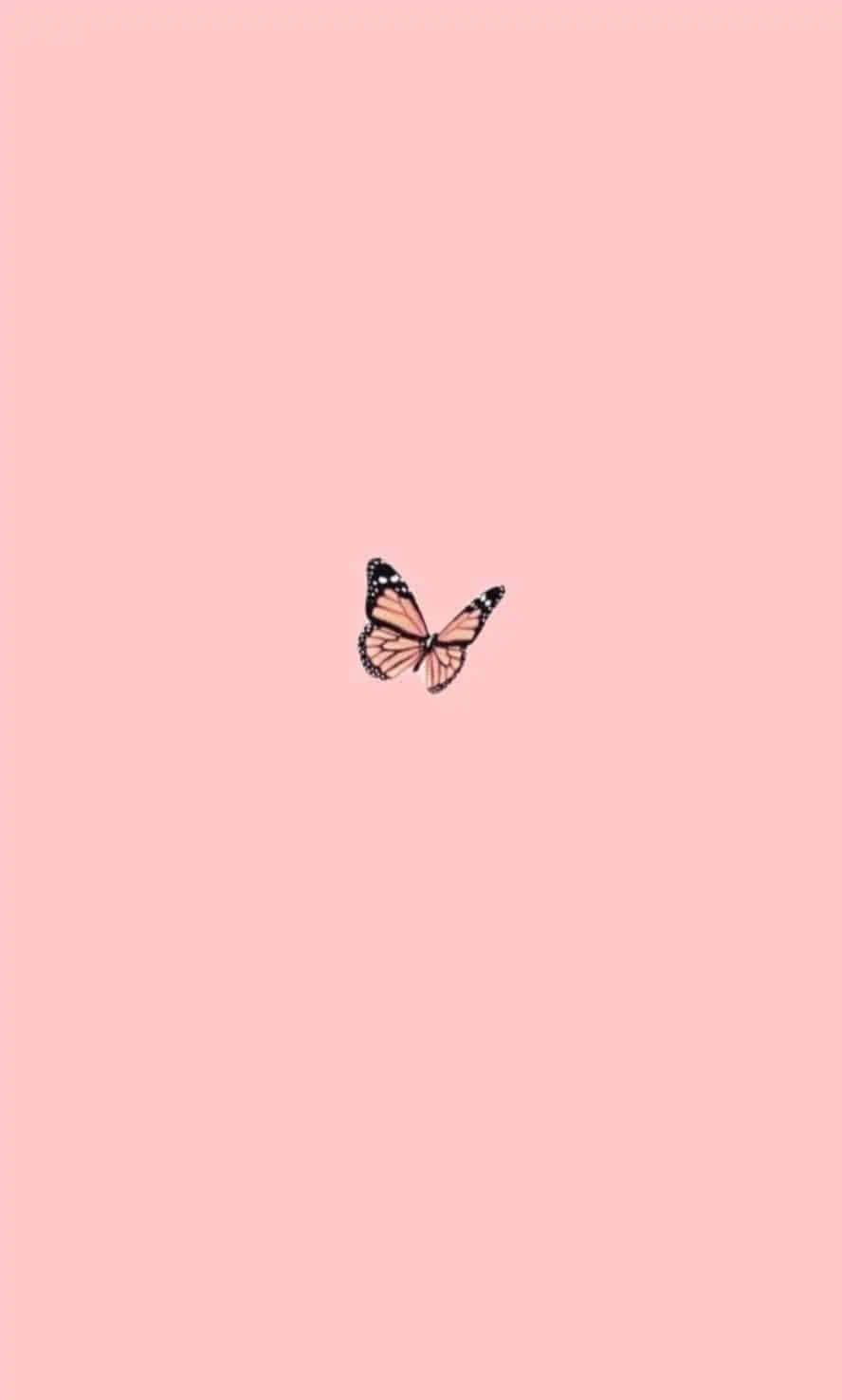 Aesthetic Plain Wallpaper