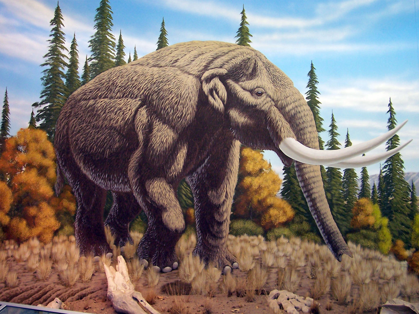 Mastodon Wallpaper HD Background Image Pictures