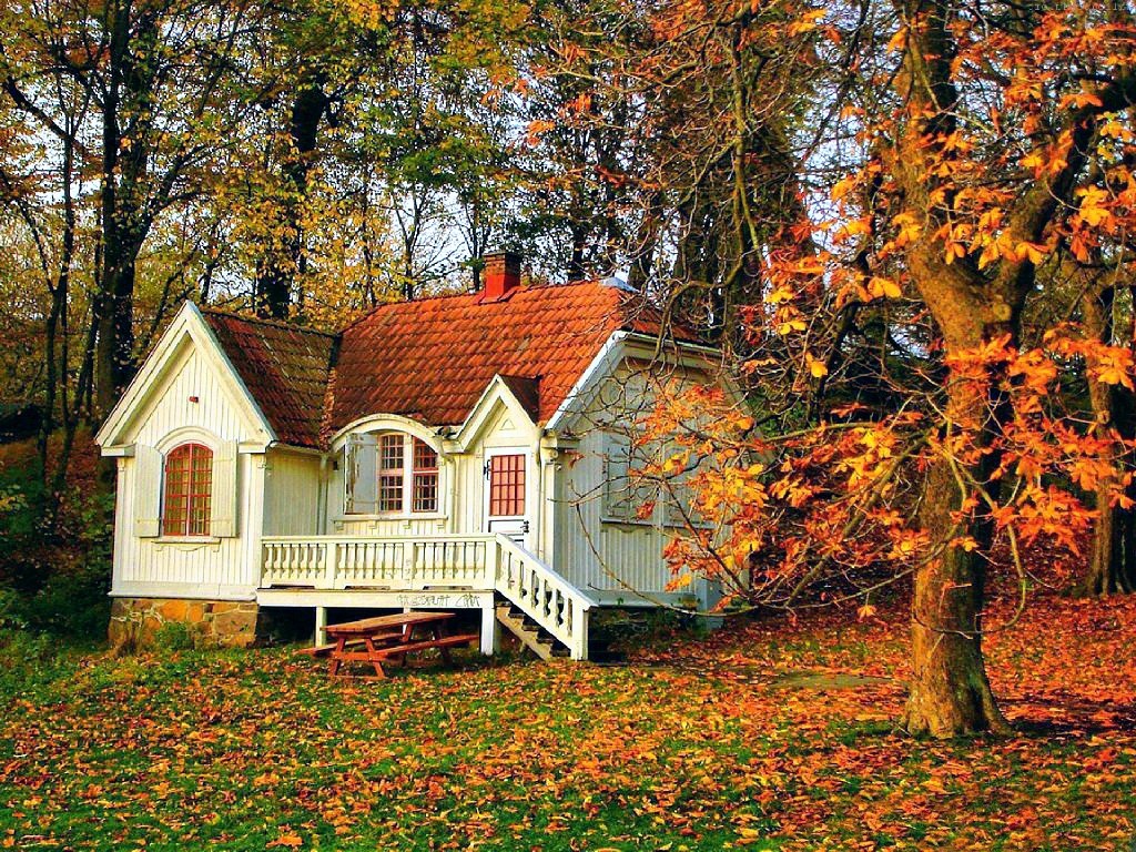 Houses Beautiful Small Forest House Peaceful Rest Calm