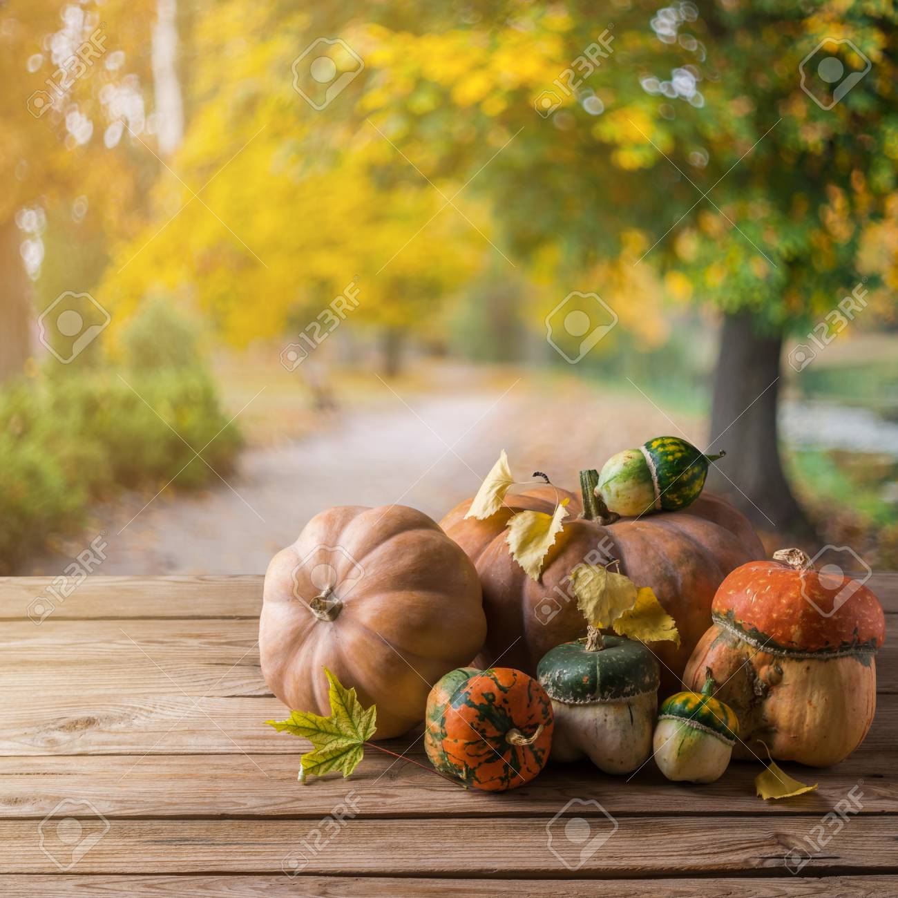 Pumpkin On Wooden Background Autumn Wallpaper Harvest Stock