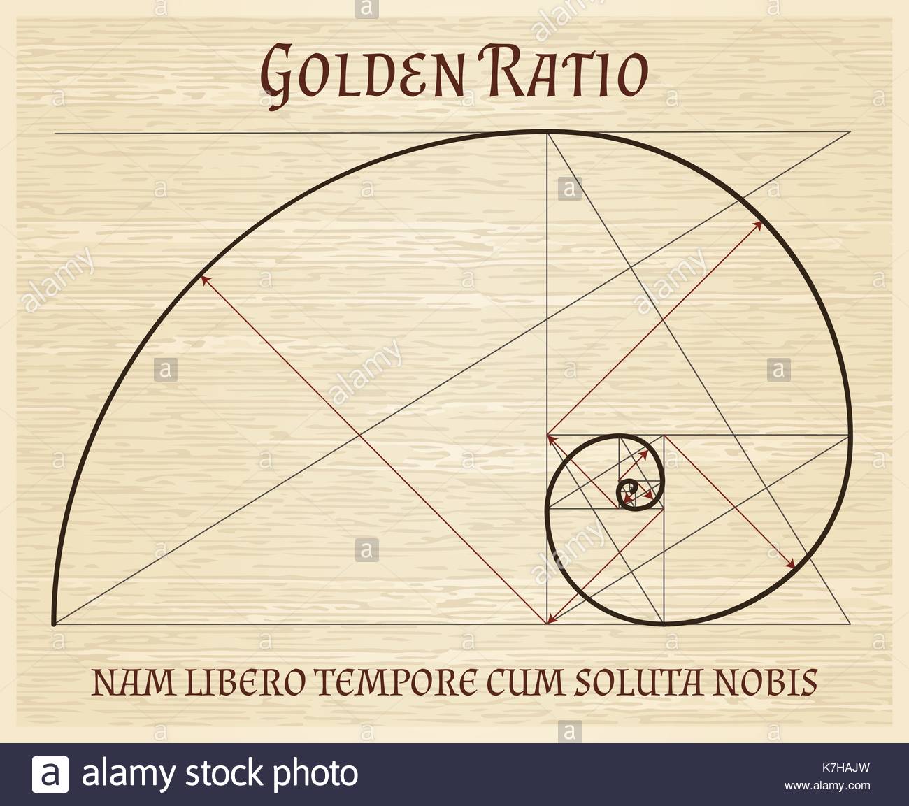 Fibonacci Section Spiral Golden Proportion Nature Harmony Vintage