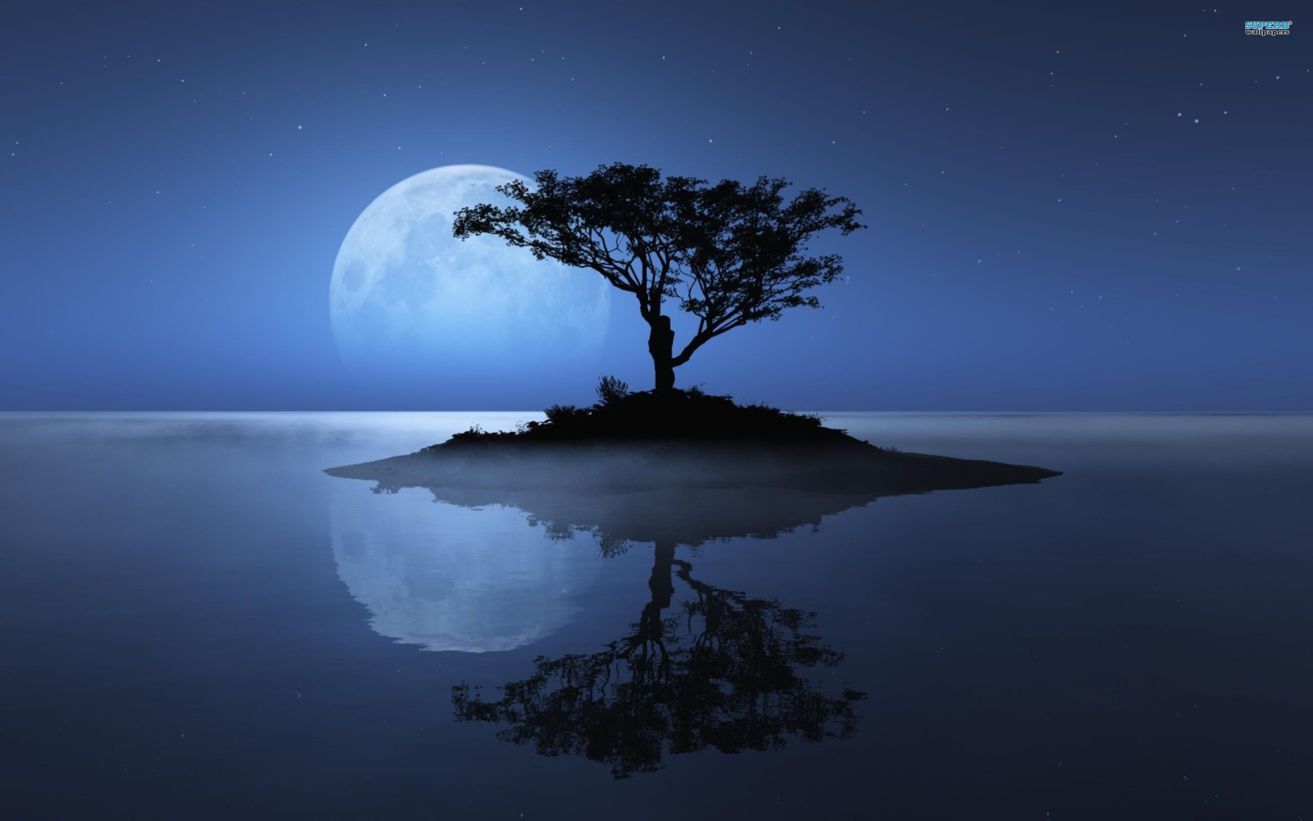 Blue Moon Tree River Desktop Background Image Mac