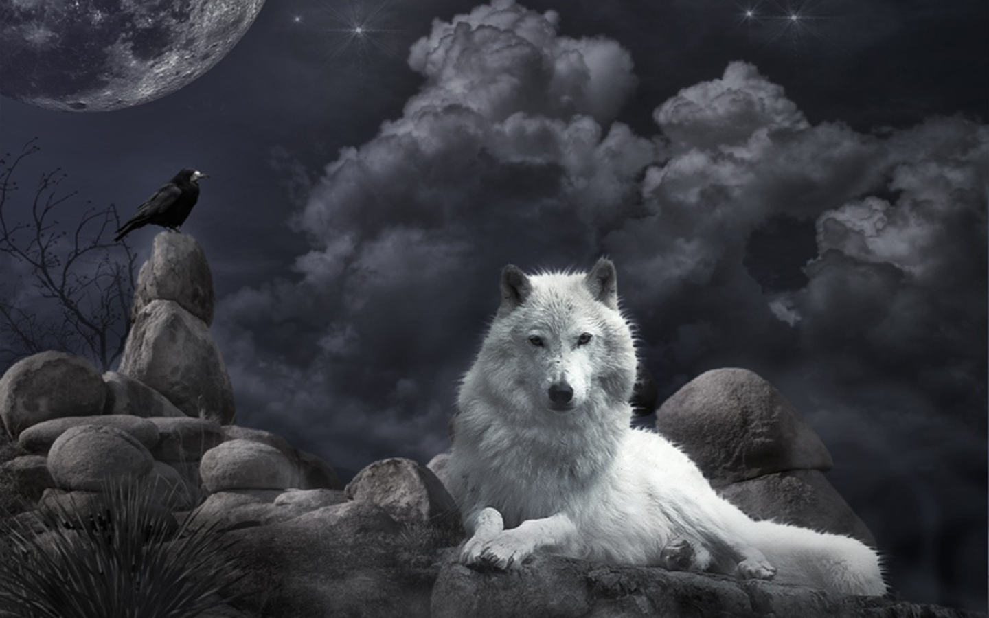 Wallpaper White Wolf And Raven In The Night 3d