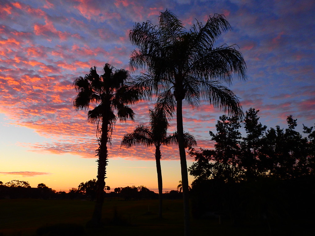 The World S Best Photos Of Bradenton And Wallpaper Hive Mind