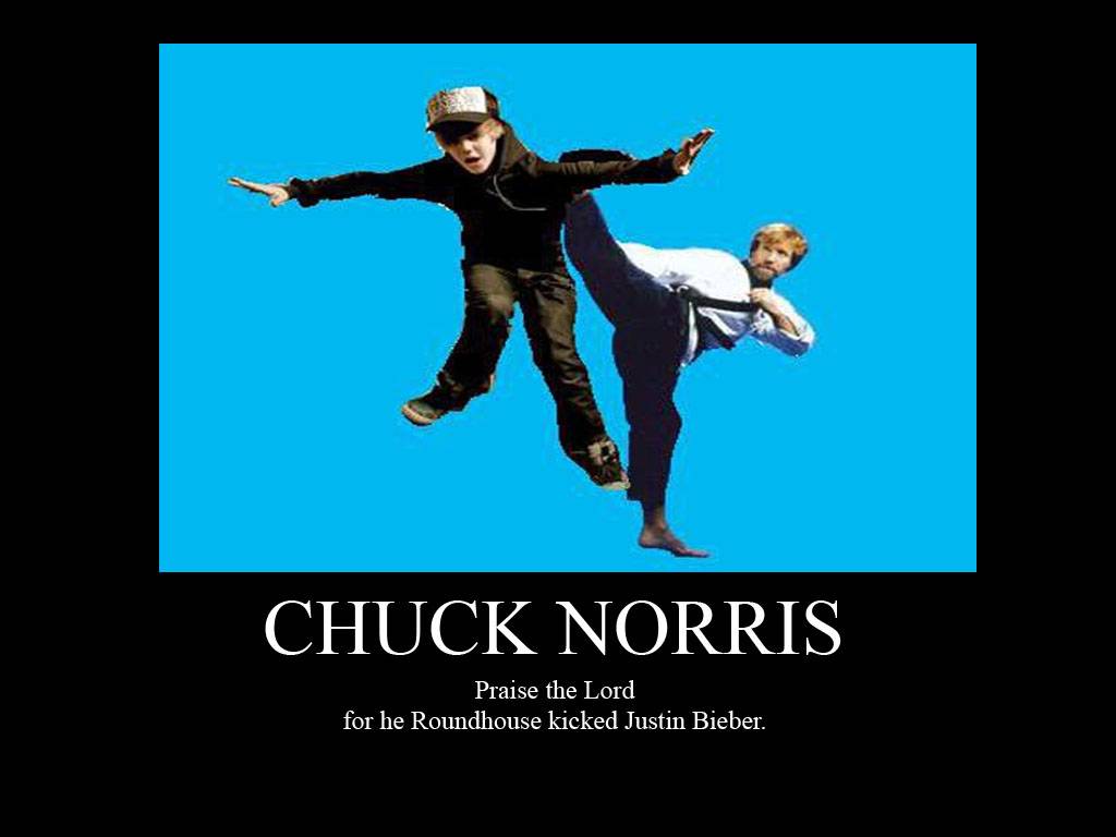 Kick Chuck Norris Picture