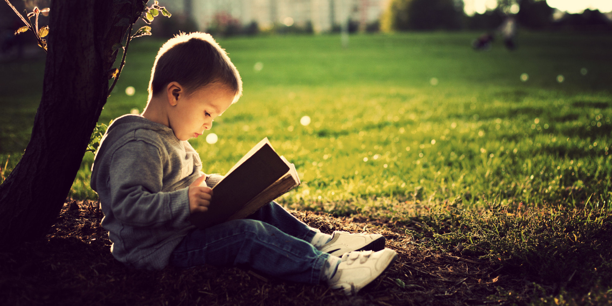 Child Engrossed In Reading Wallpaper