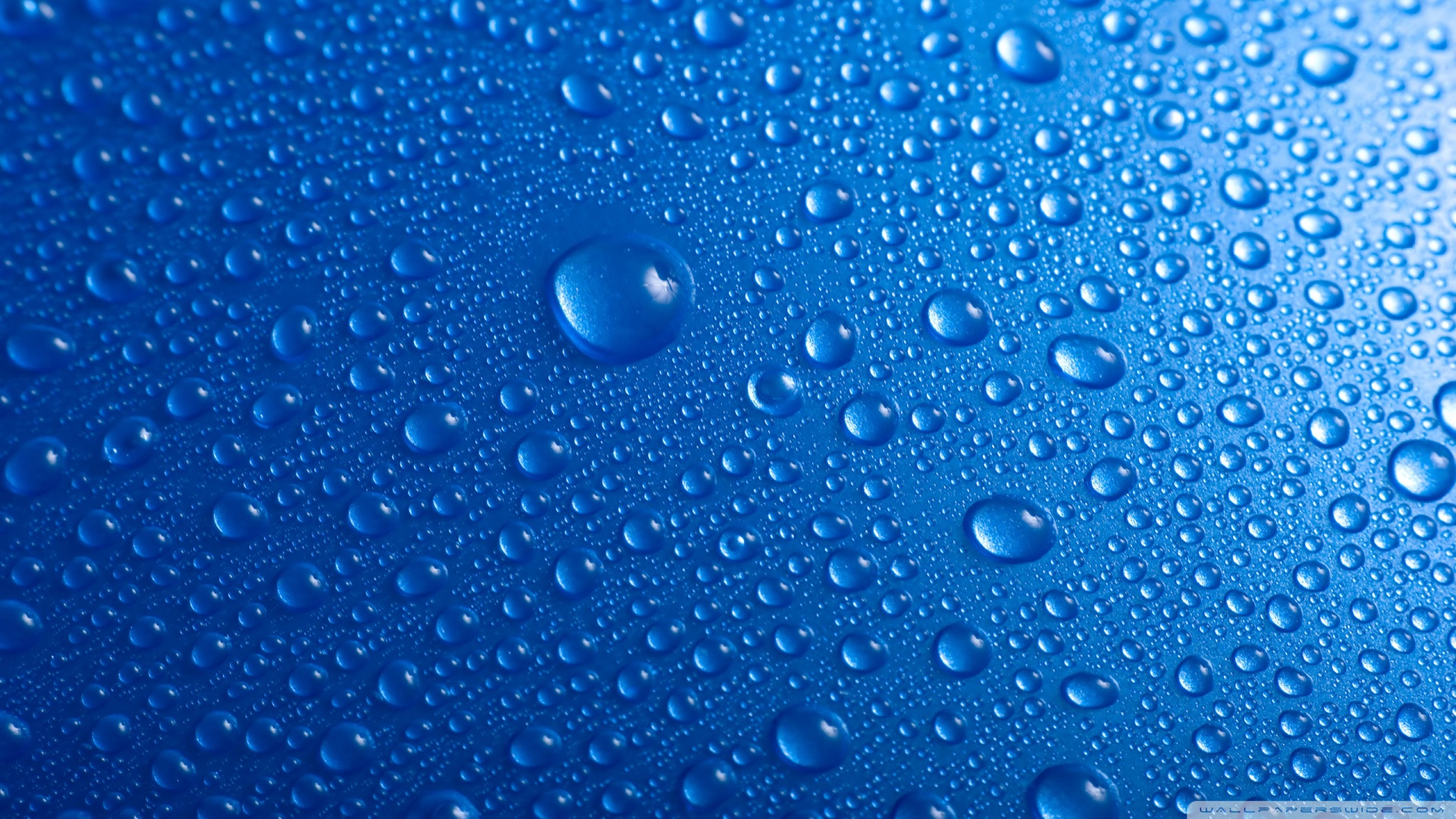 Water Droplet Wallpaper 1920x1080 Water Droplet