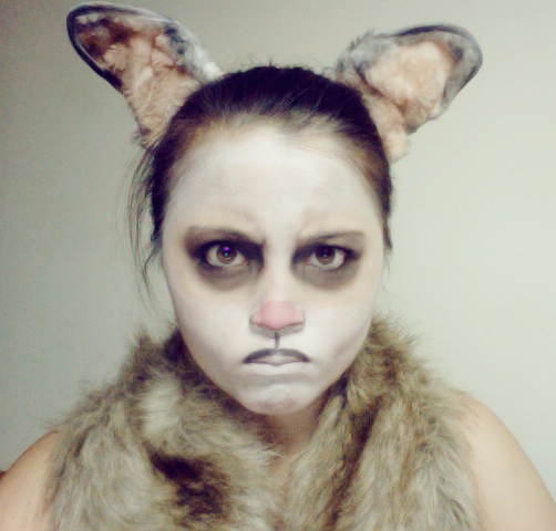 Grumpy Cat Halloween Costume And Makeup