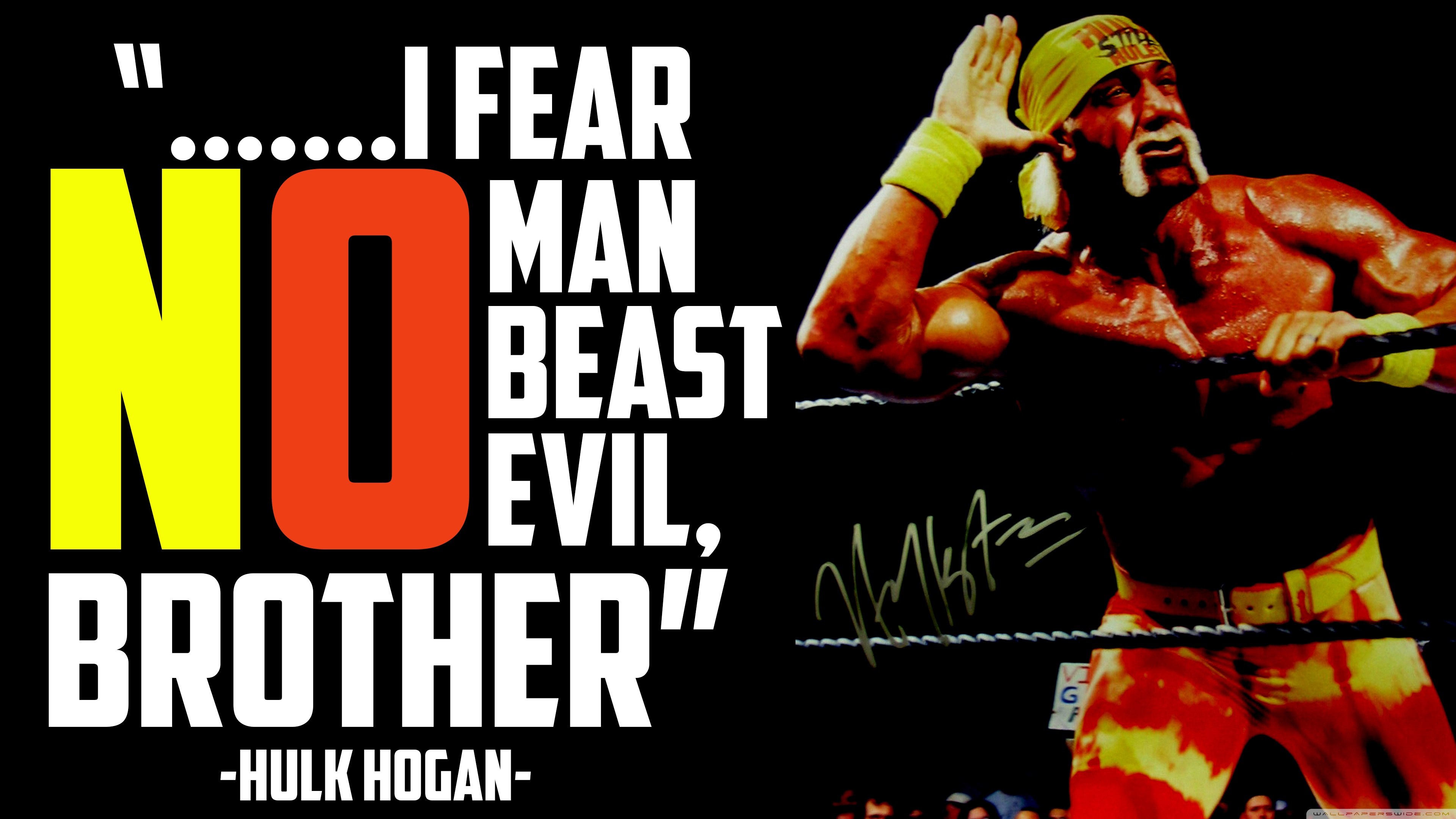 Hulk Hogan 4k Wallpaper Printed