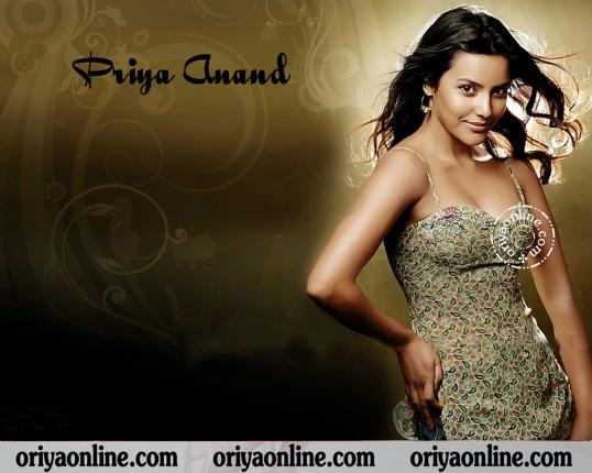 Priya Anand Wallpaper Bollywood Actress