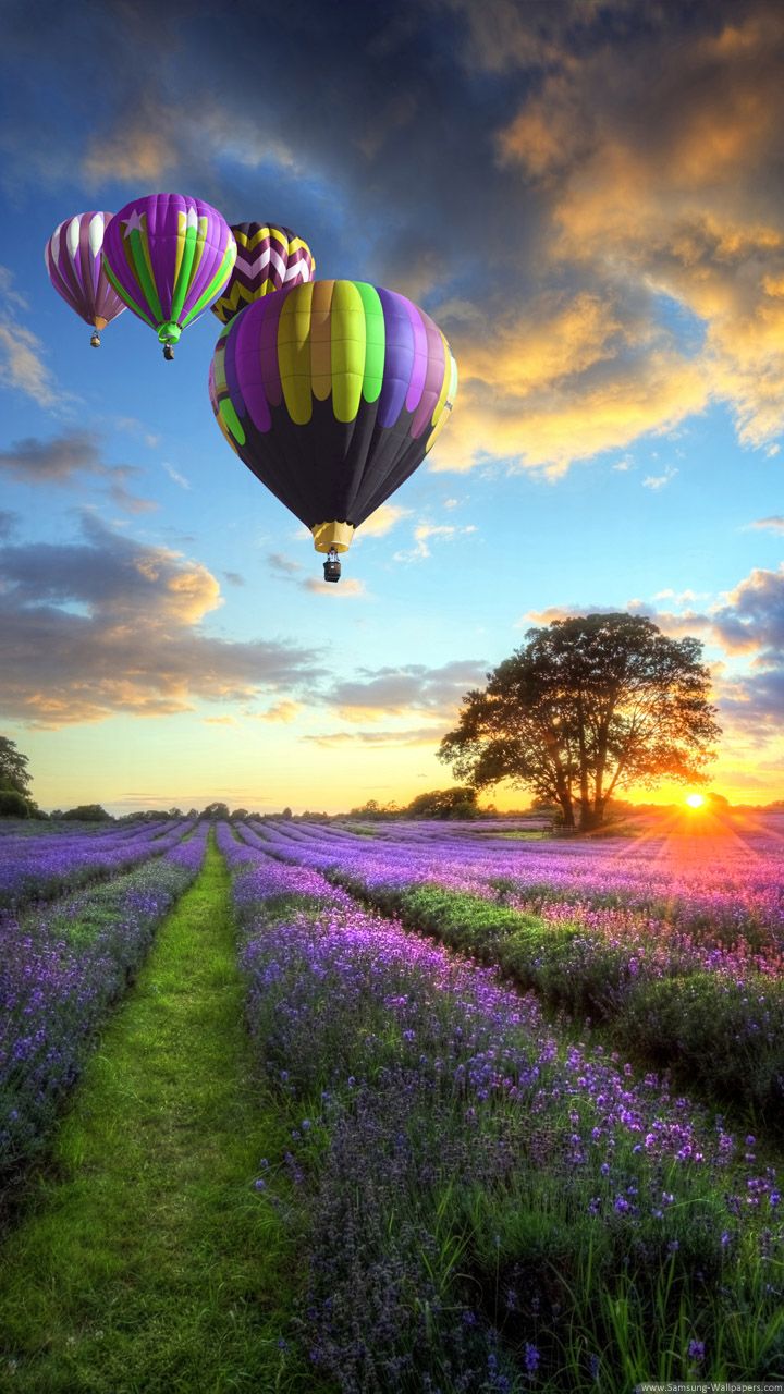 Hot Air Balloons In Provence France iPhone Wallpaper