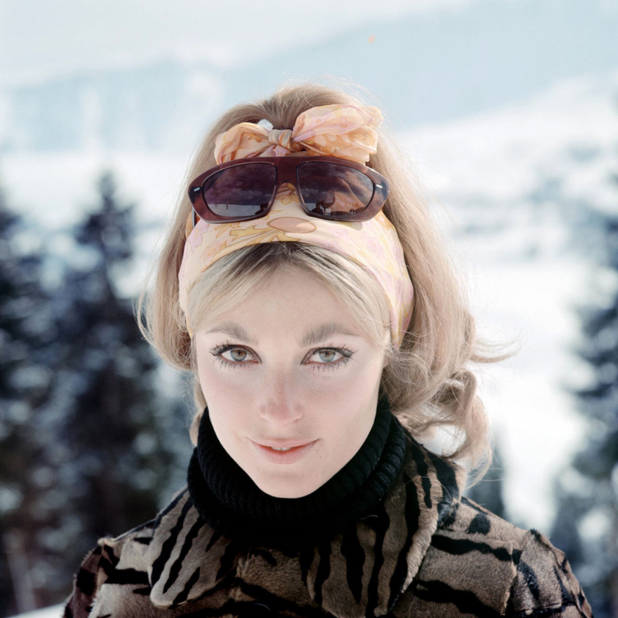 Sharon Tate Wallpaper